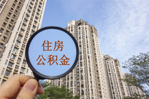 高密深圳公积金（深圳公积金首页）